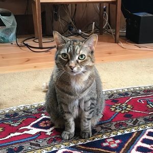 Meet your Posher, Evelyn